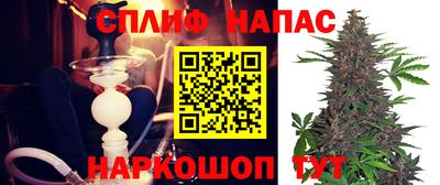 хмурый Тара