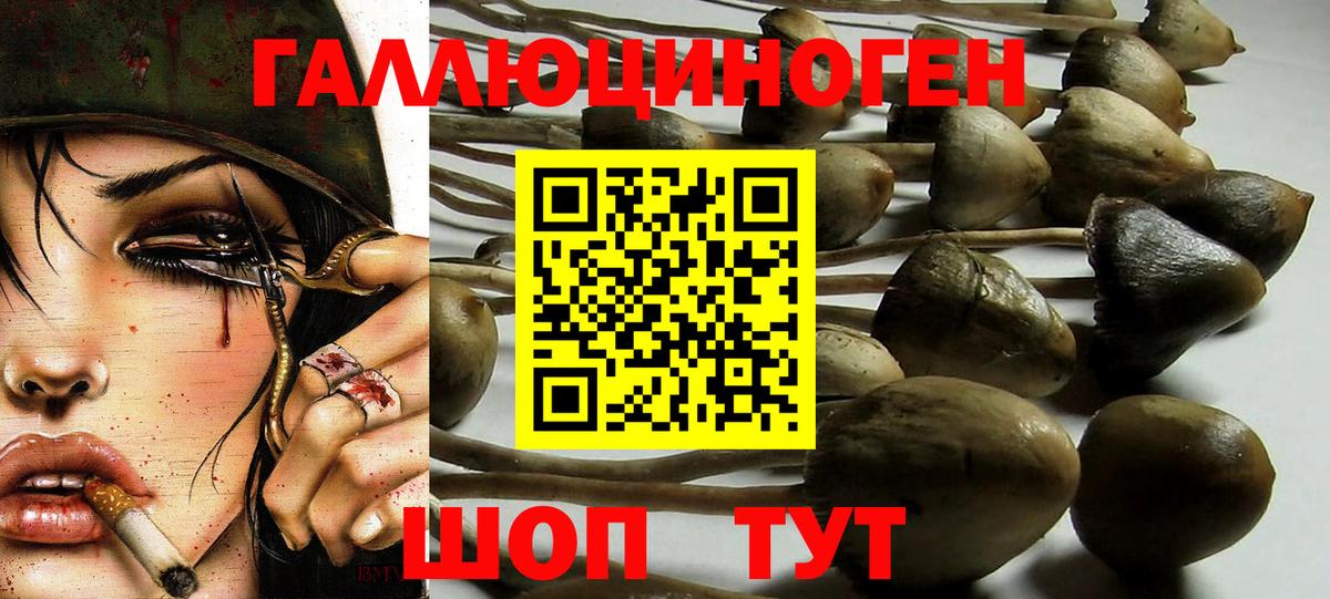 Галлюциногенные грибы мицелий  Псилоцибиновые грибы Cubensis  Шарыпово  Вход с VPN 